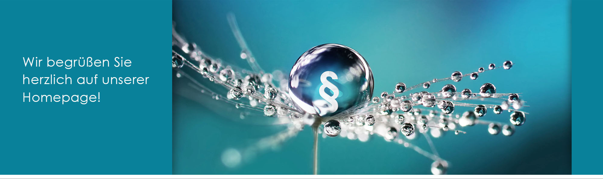 Steuerberaterin Niederstotzingen